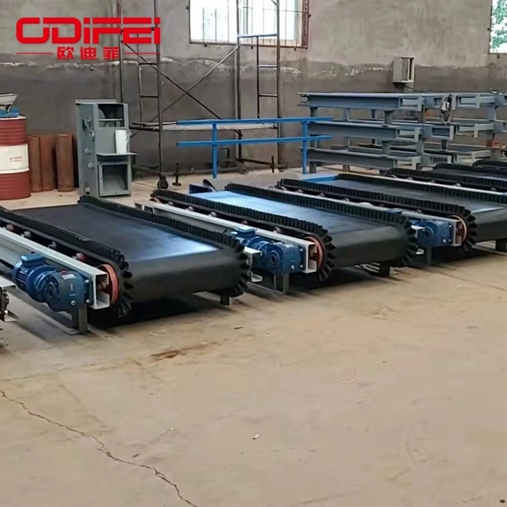 Skirt baffle conveyor (5)